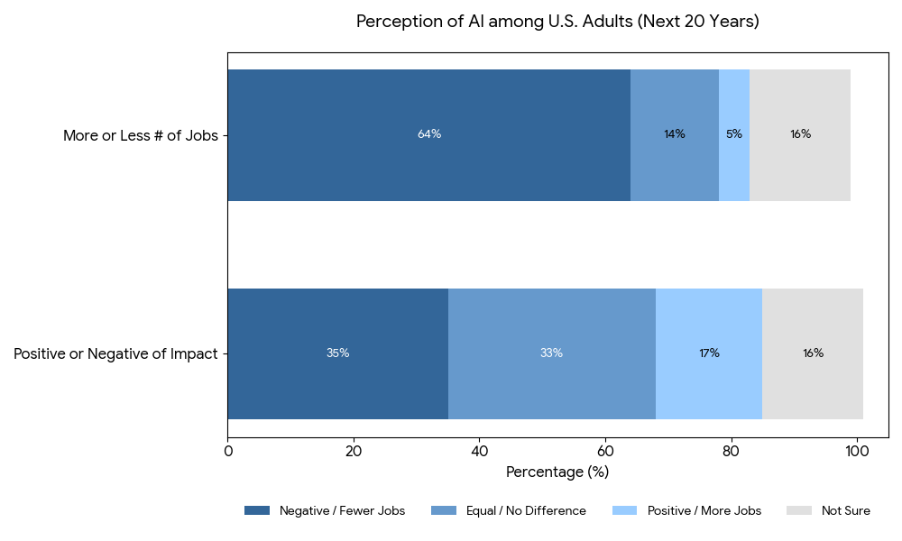 Internet Perceptions
